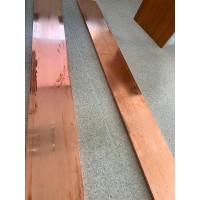 Шина медная 100x12 мм М1Е ГОСТ 1173-2006